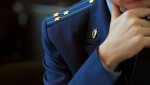 Прокуратура организовала проверку по факту обнаружения змей на территории школы в Анучинском районе